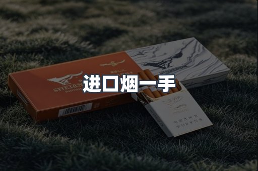 进口烟一手